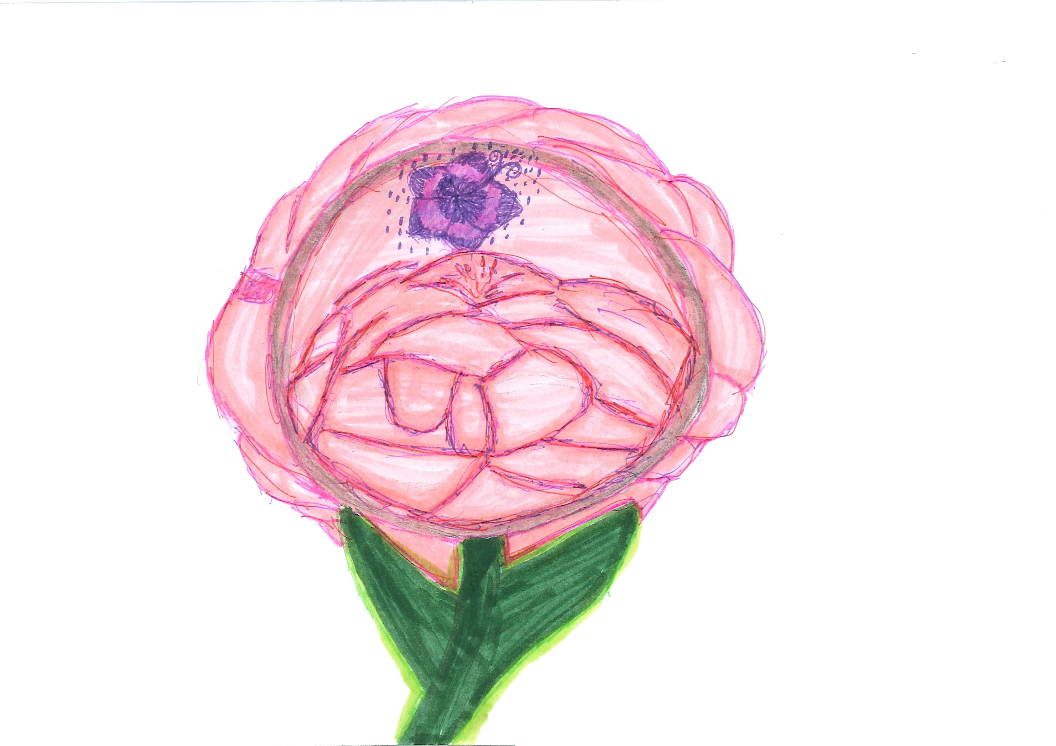 grafik_Blume_2026-03-25_CC-by_Jazmin_Berkiova.jpg